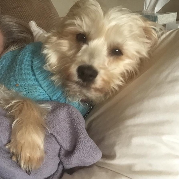 LIVE TODAY 1:00 PM EST FREE PEOPLE & HANDMADE KANTHAS/PATCHWORK PIECES 🔥 - Picture 7 of 14